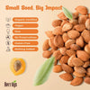Organic Bitter Apricot Kernels