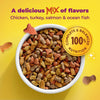 Meow Mix Original Choice Dry Cat Food