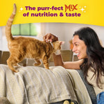 Meow Mix Original Choice Dry Cat Food