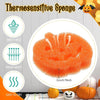 Halloween Cute Sponge Dish Scrubbers